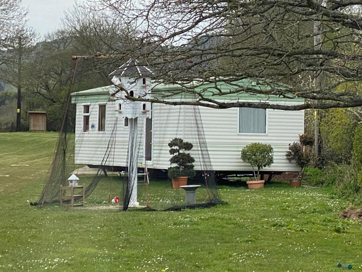 The Nest - Family Friendly Caravan Nr Glastonbury & Street Somerton  Buitenkant foto