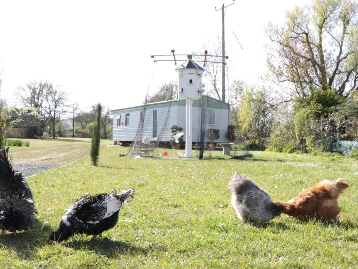 The Nest - Family Friendly Caravan Nr Glastonbury & Street Somerton  Buitenkant foto